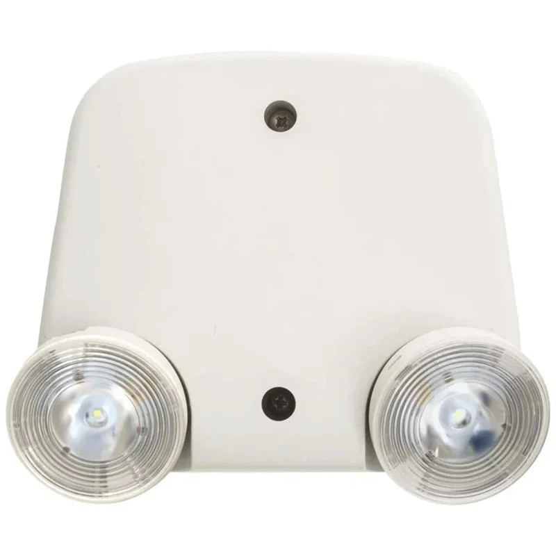 beeslighting12536750