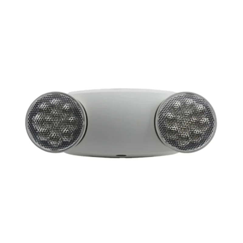 beeslighting12537306