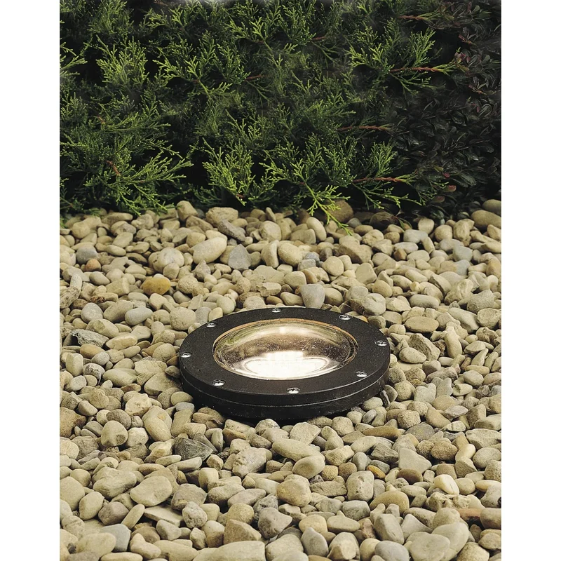 beeslighting12554646