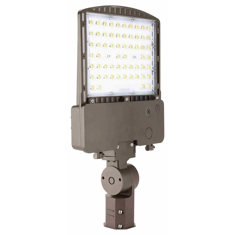 beeslighting12615775