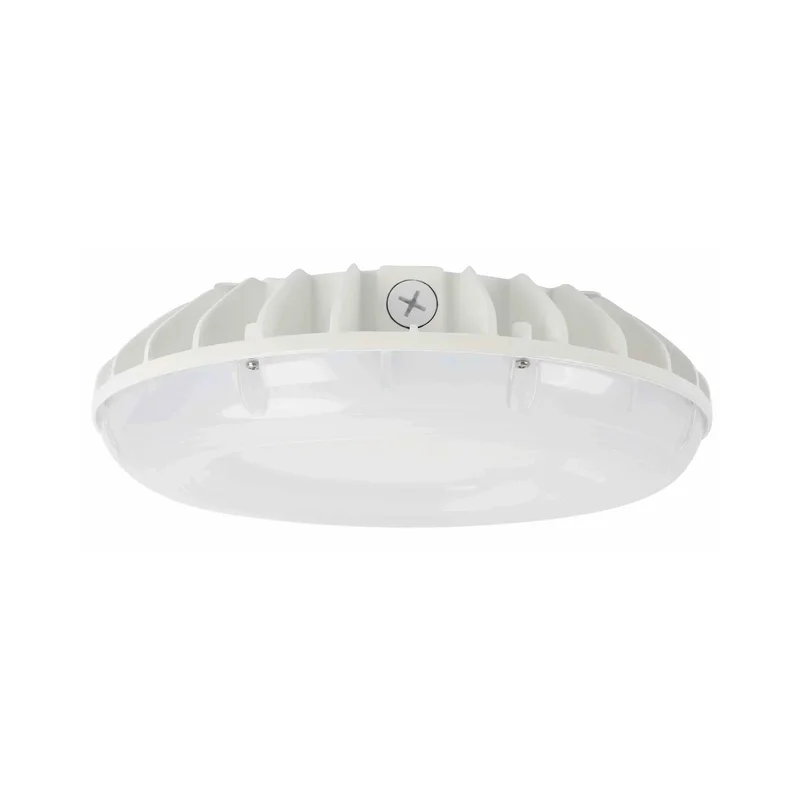 beeslighting12615808