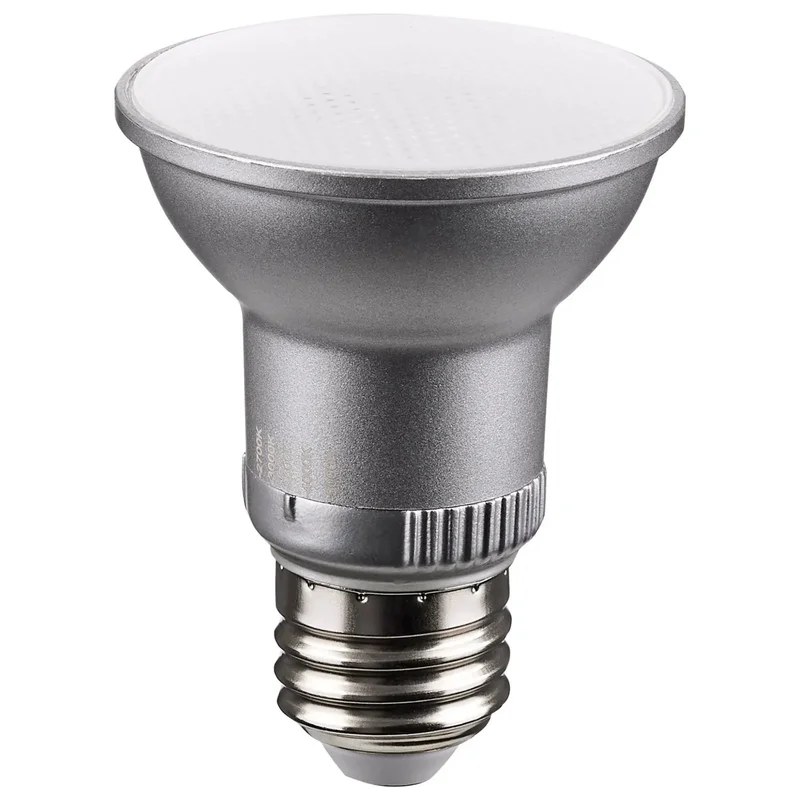 beeslighting12616823