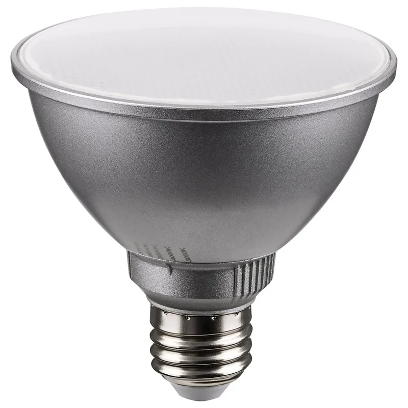 beeslighting12616949