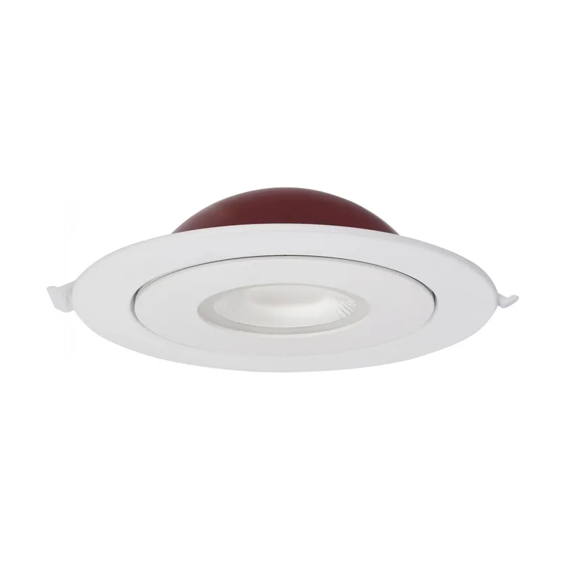 beeslighting12617031