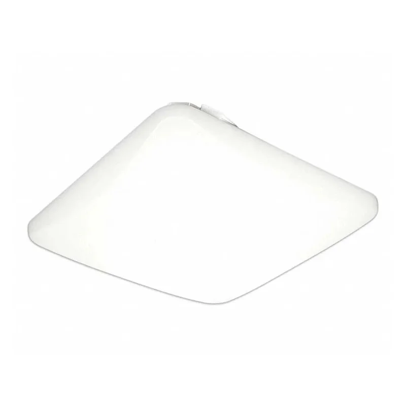 beeslighting12617429