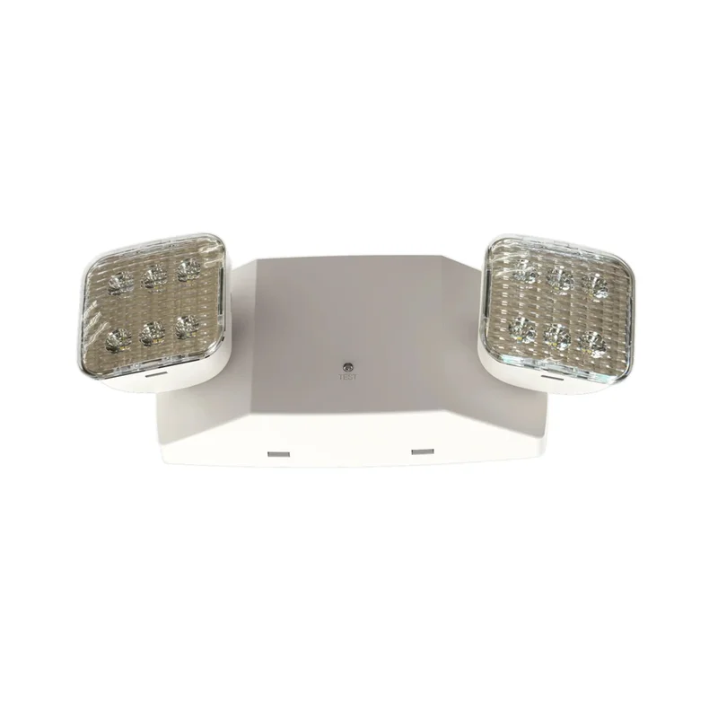 beeslighting12627858