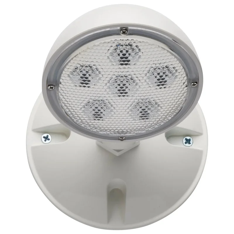 beeslighting12628007