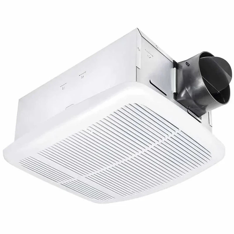 beeslighting12629880