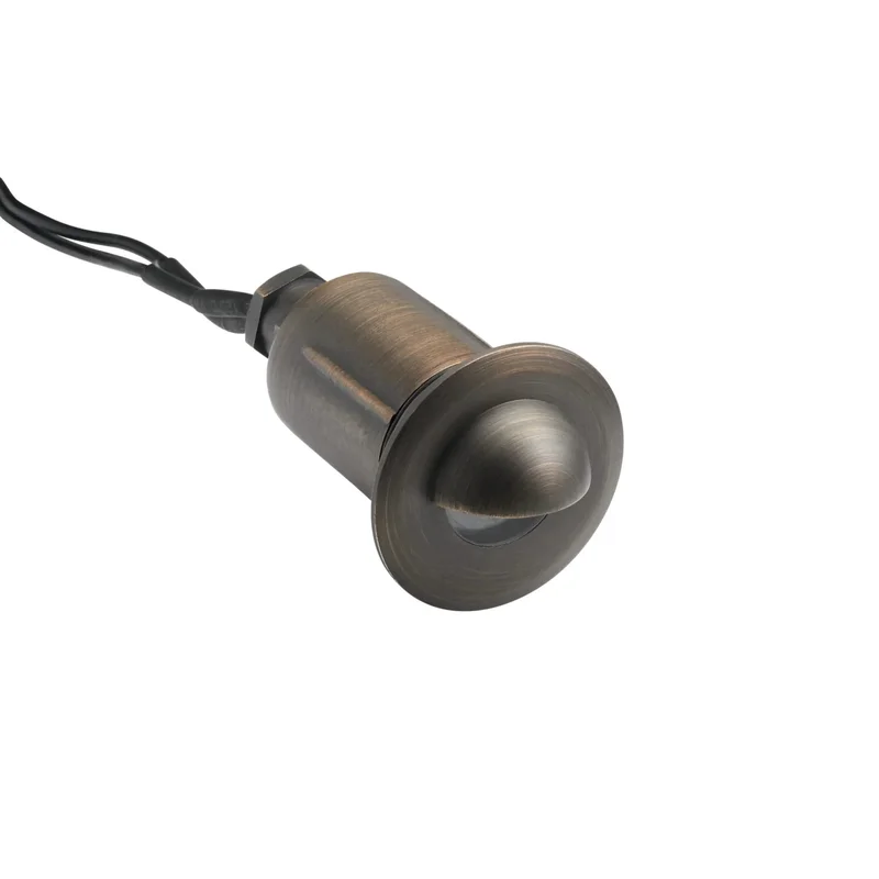 beeslighting12632416