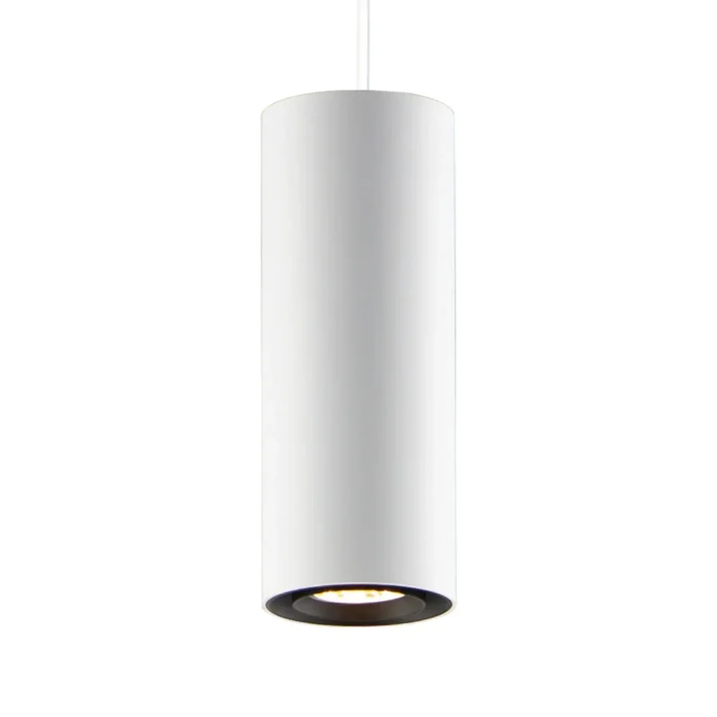 beeslighting12635507