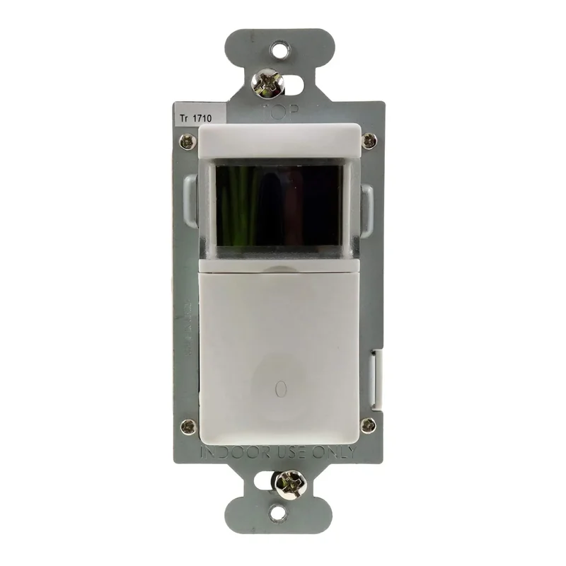 beeslighting12643563