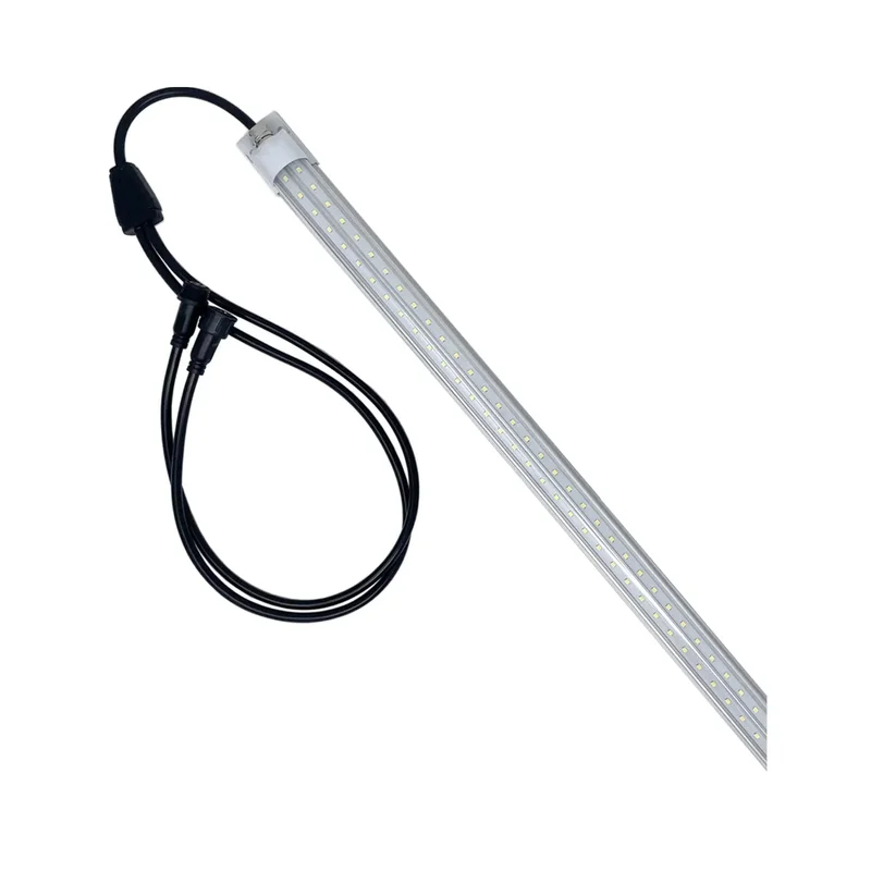 beeslighting12644609