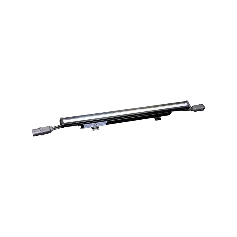 beeslighting12644699