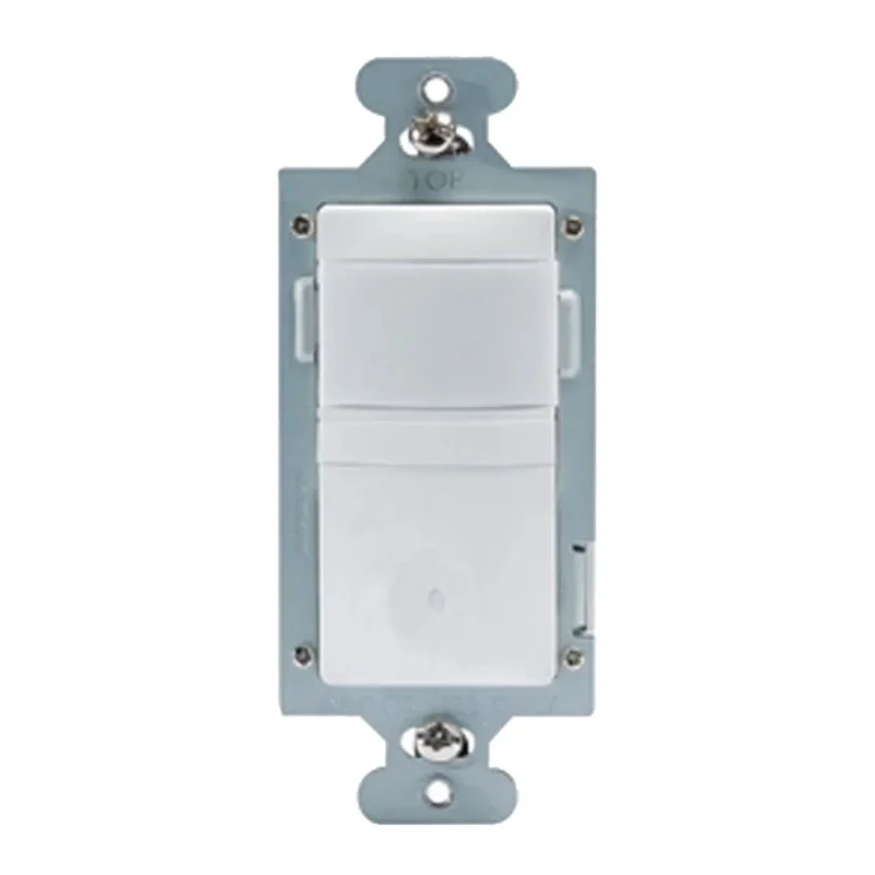beeslighting12646590