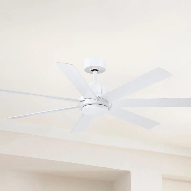 beeslighting12649028