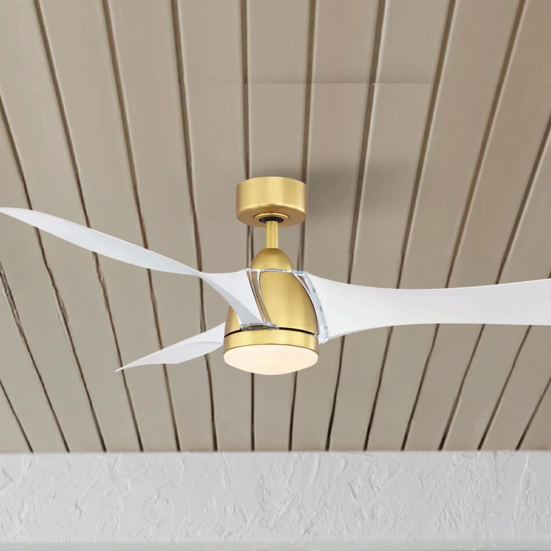 beeslighting12649093