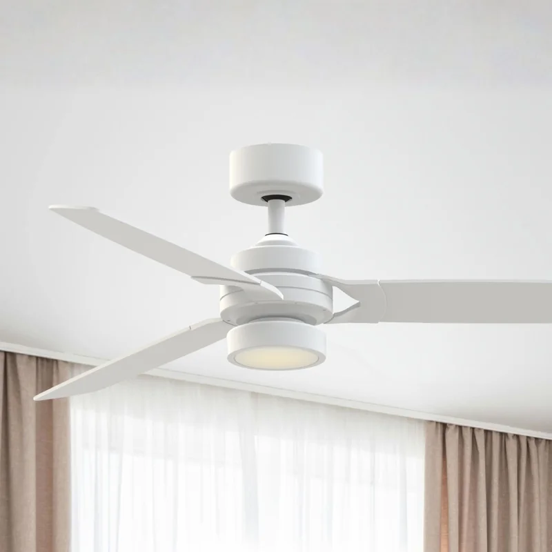 beeslighting12649227