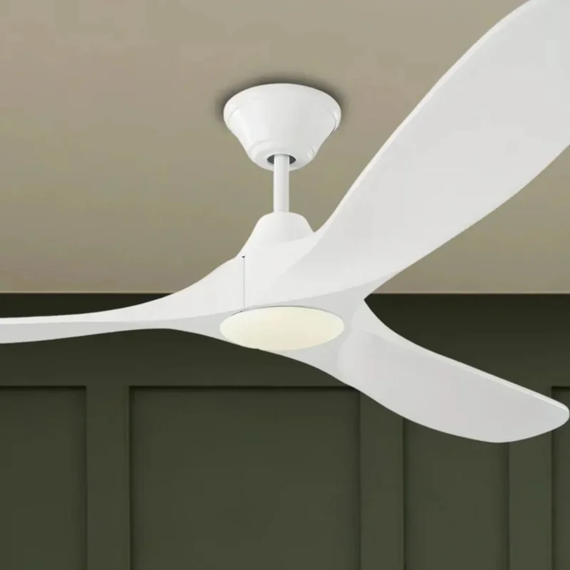 beeslighting12649656