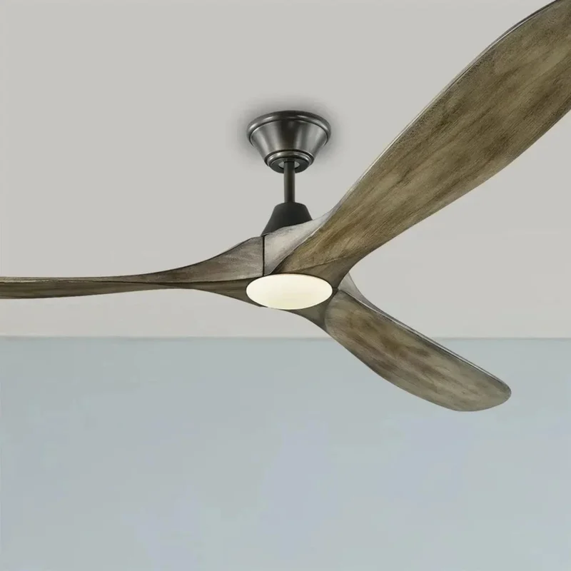 beeslighting12649676