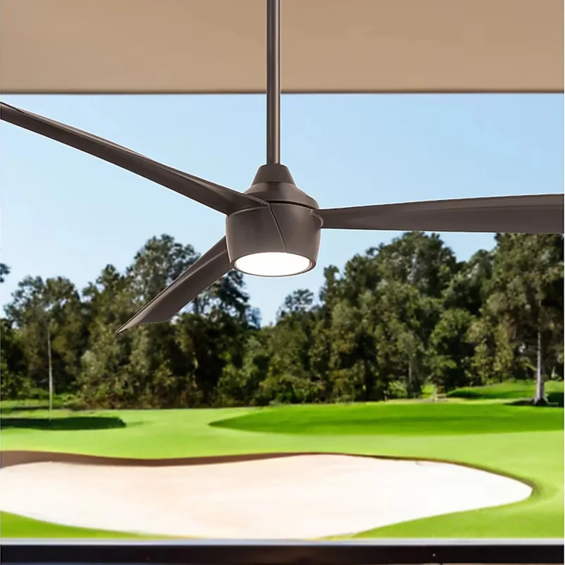 beeslighting12650201