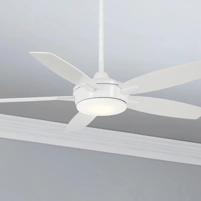 beeslighting12650691
