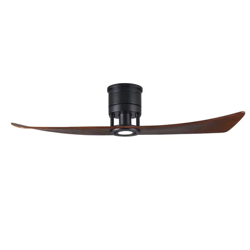 beeslighting12651434