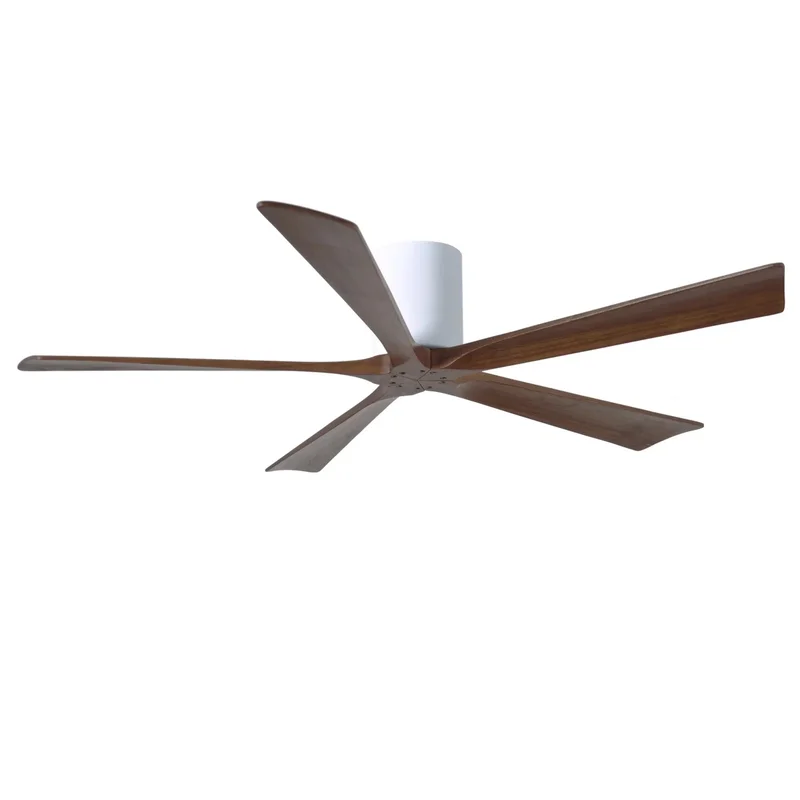 beeslighting12651592
