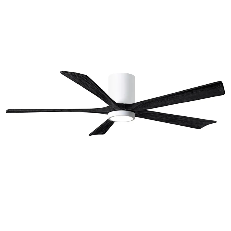 beeslighting12651751