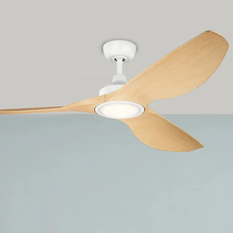 beeslighting12652589