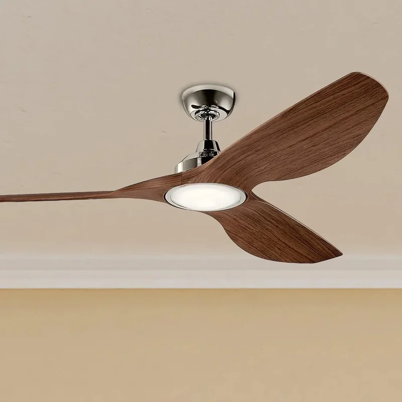 beeslighting12652596
