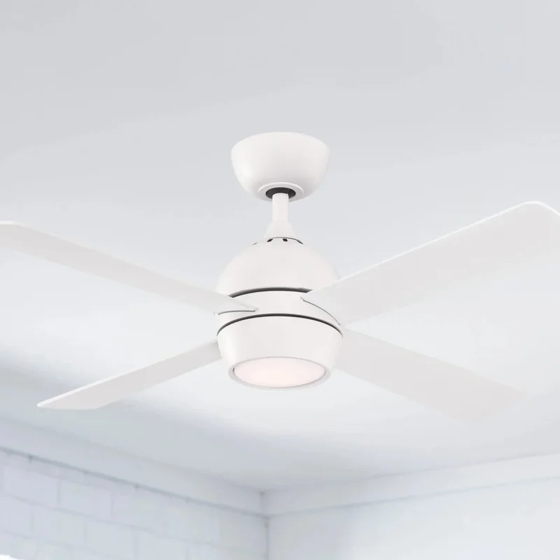 beeslighting12652868