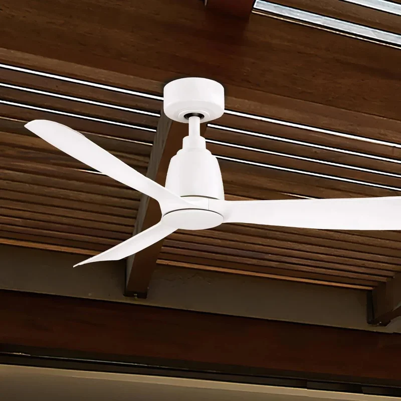 beeslighting12652926