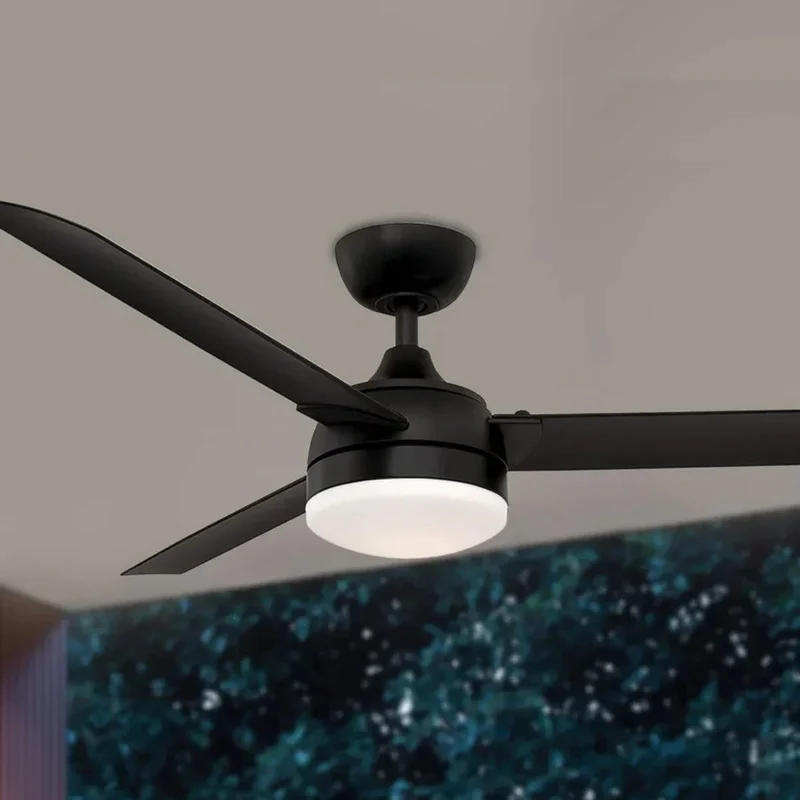 beeslighting12653392