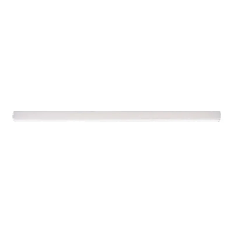 beeslighting12653719