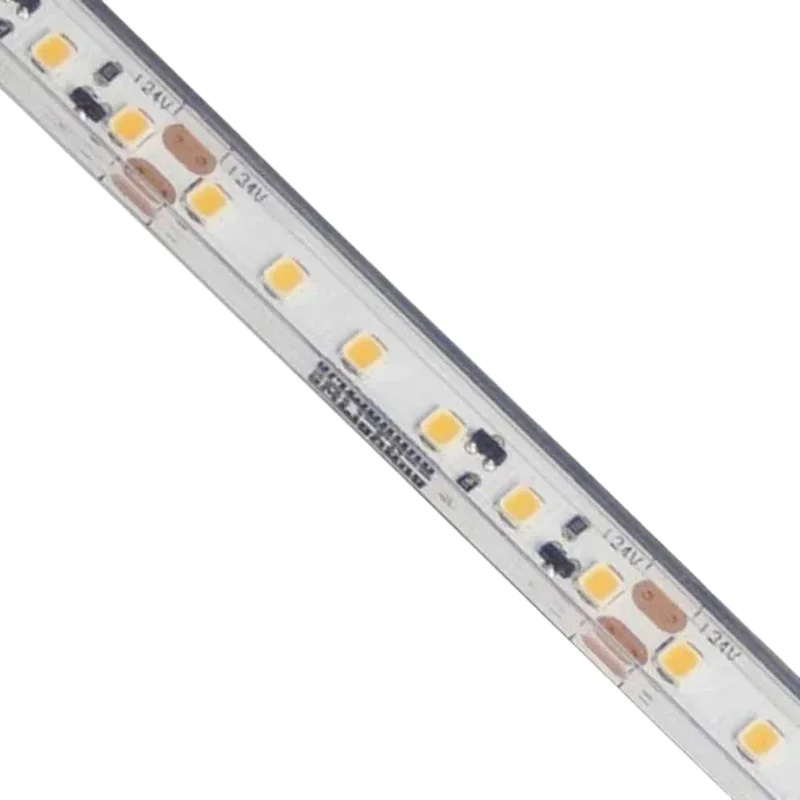 beeslighting12654129
