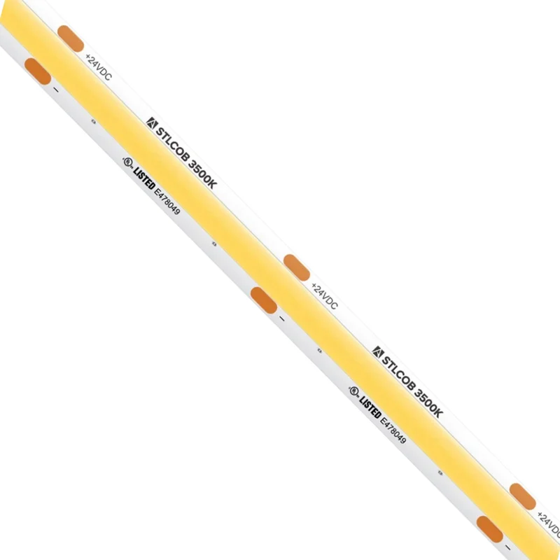 beeslighting12654293