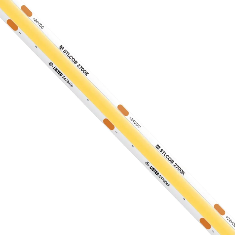 beeslighting12654298
