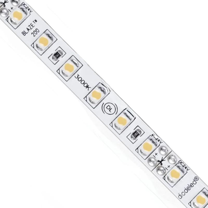 beeslighting12654561