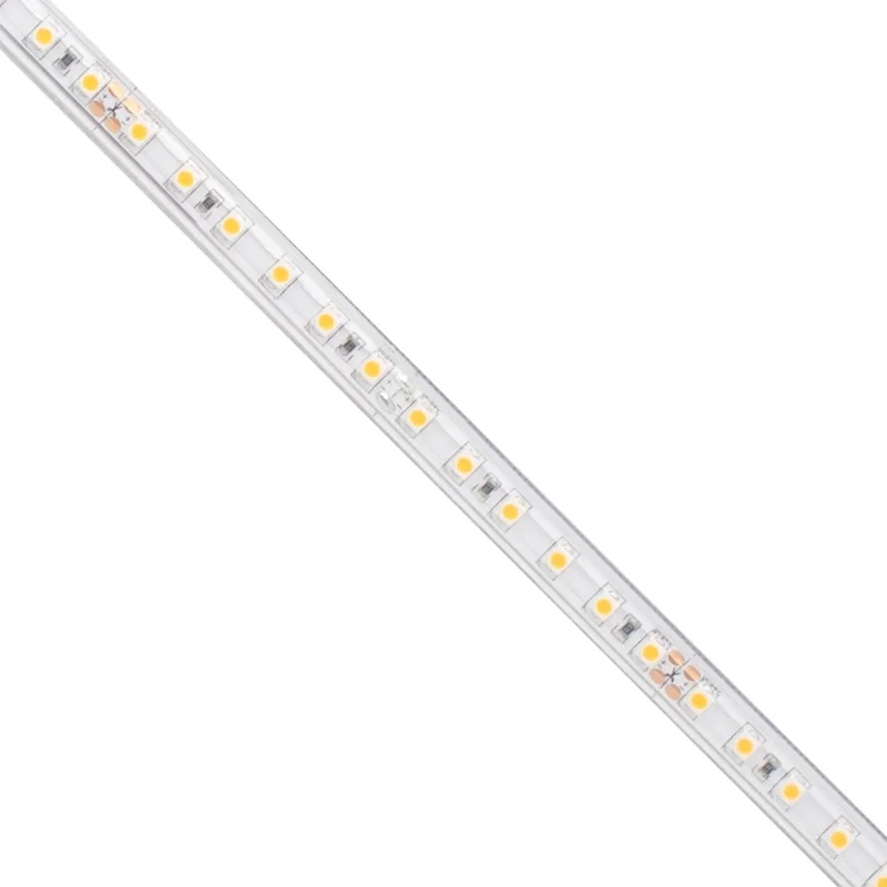beeslighting12654566
