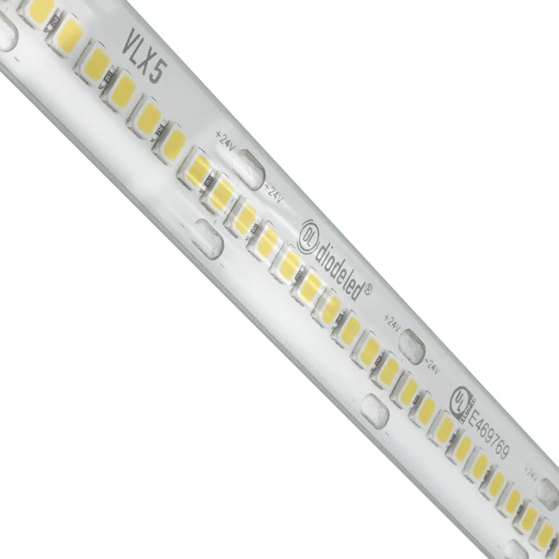 beeslighting12654598