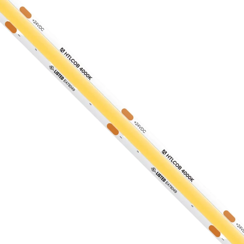 beeslighting12654640
