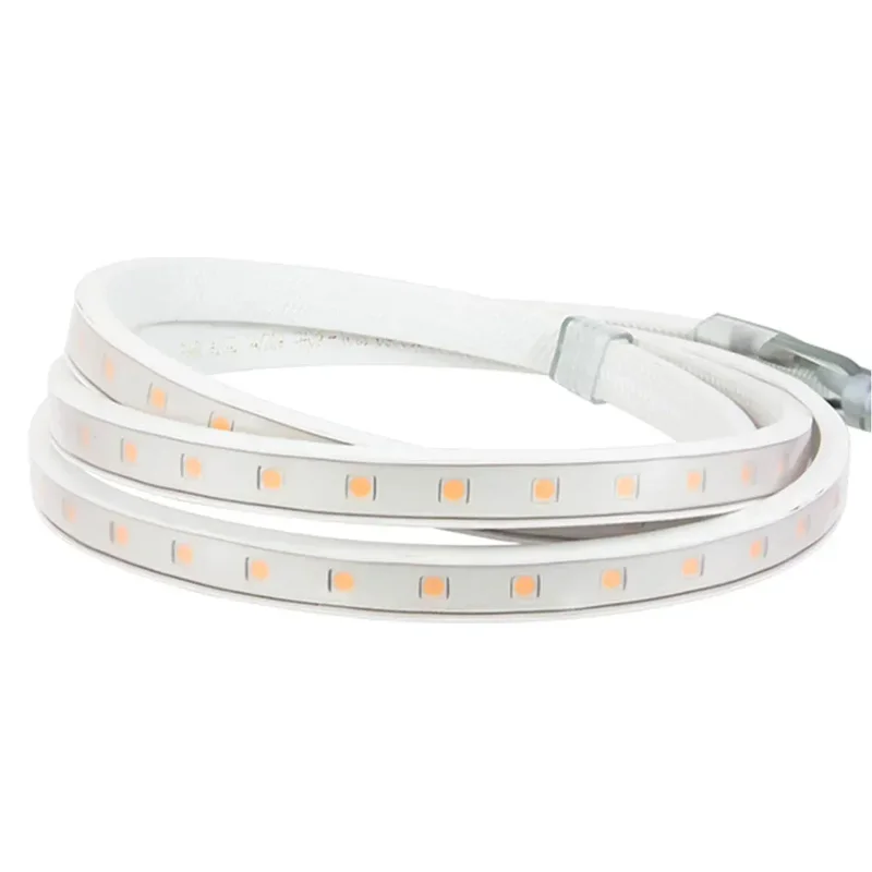 beeslighting12655257