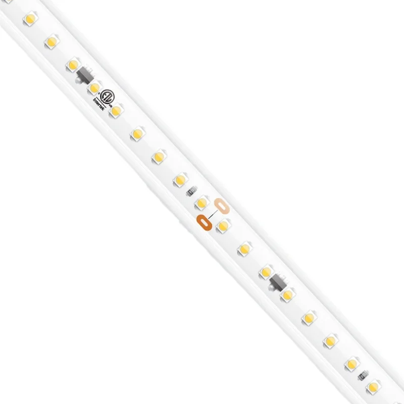 beeslighting12655270