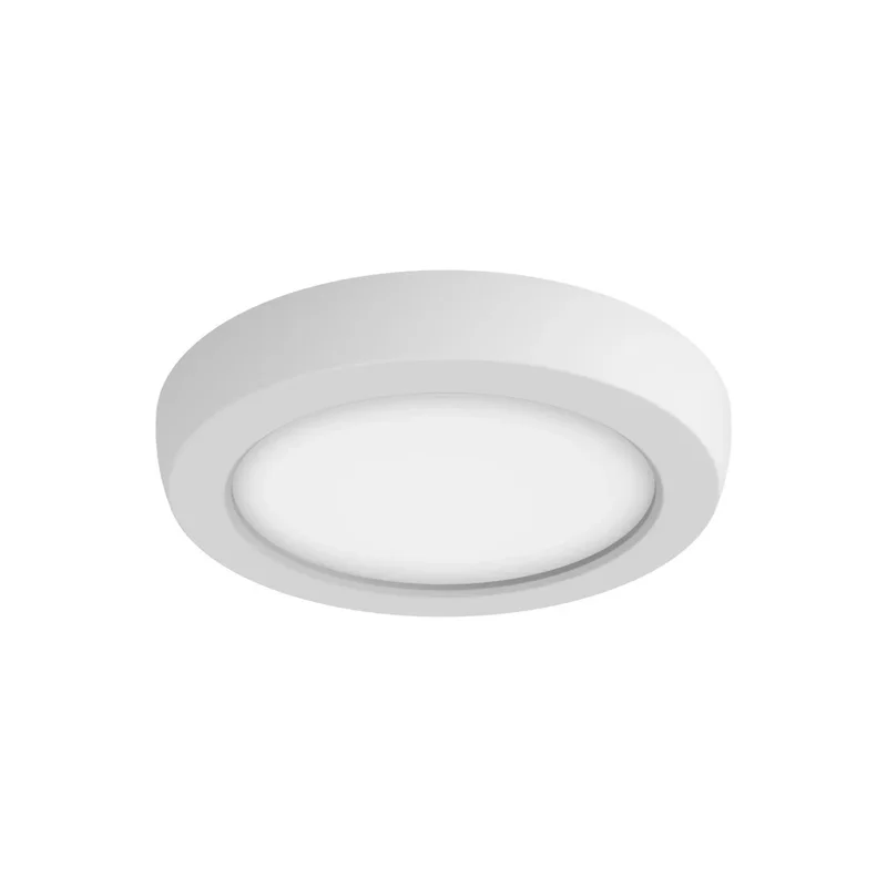 beeslighting12656423