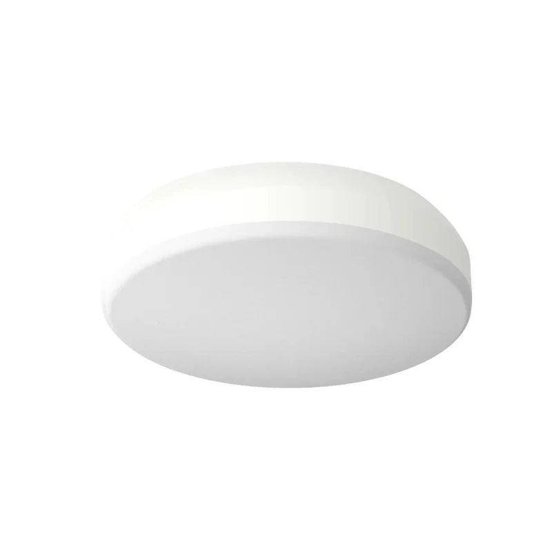 beeslighting12656585