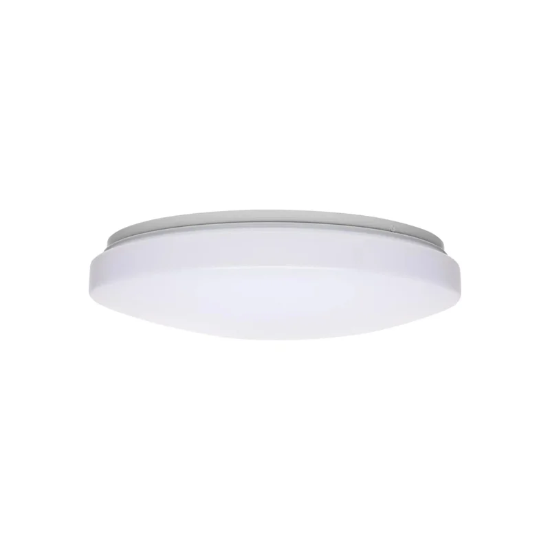 beeslighting12656735