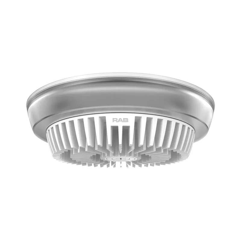 beeslighting12656769