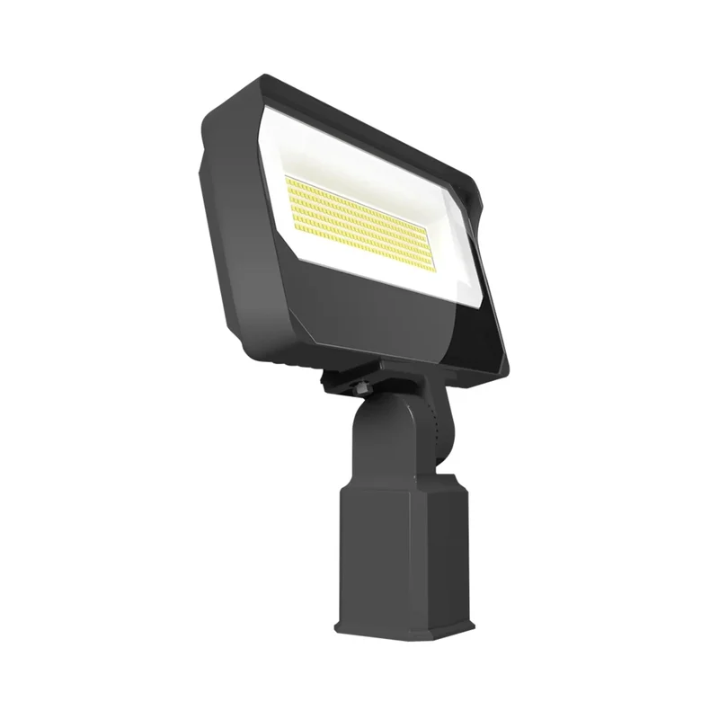 beeslighting12656795