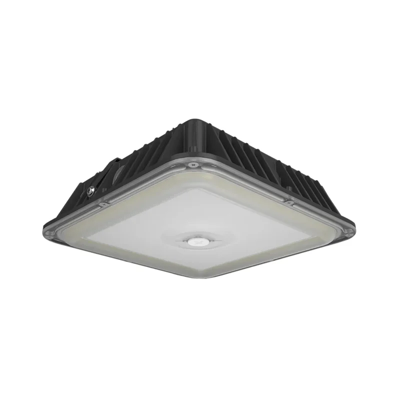beeslighting12656837