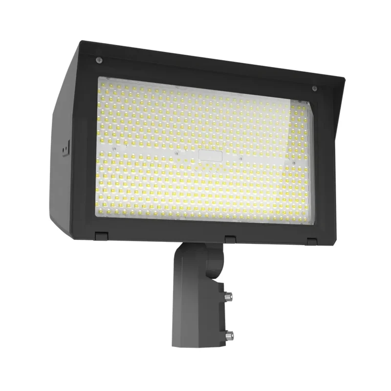 beeslighting12656951